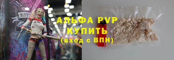 spice Гусев