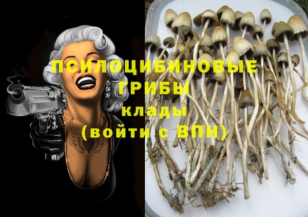 spice Гусев