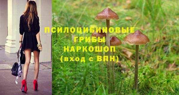 стафф Гусиноозёрск