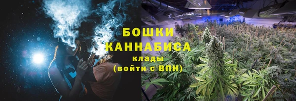мдма Дмитриев
