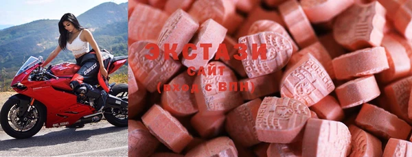 spice Гусев