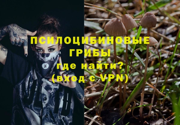 дурь Гусь-Хрустальный