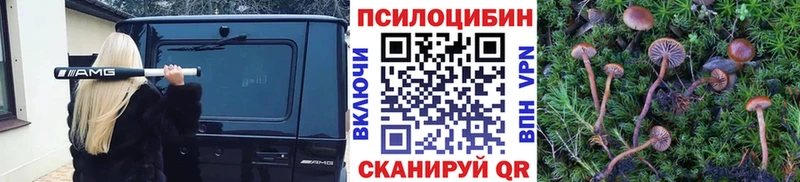 Купить  Камышлов  Галлюциногенные грибы Magic Shrooms 