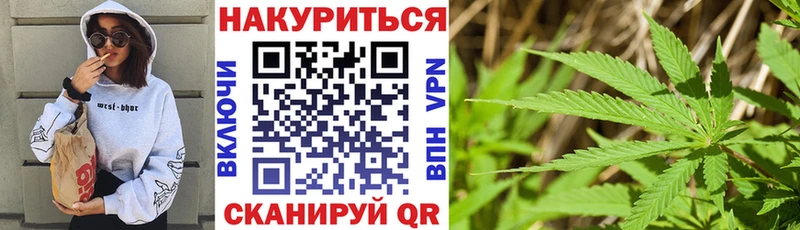 Купить где  Камышлов  Бошки Шишки планчик 